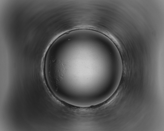 X0000094771102200711161351