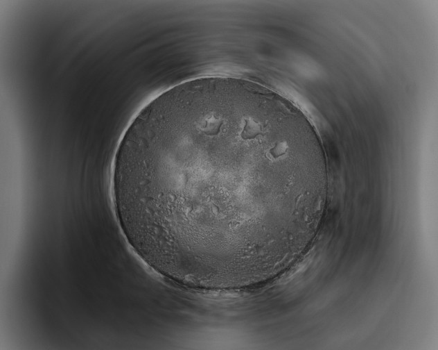 X0000094771103200711161351