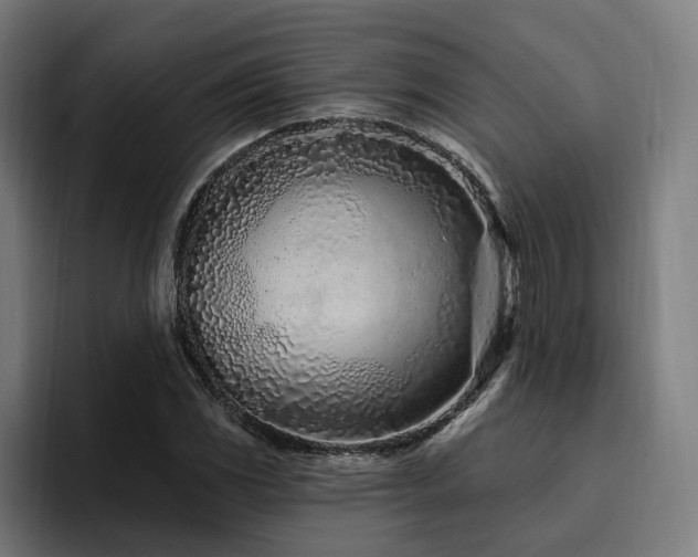 X0000094771117200711161350