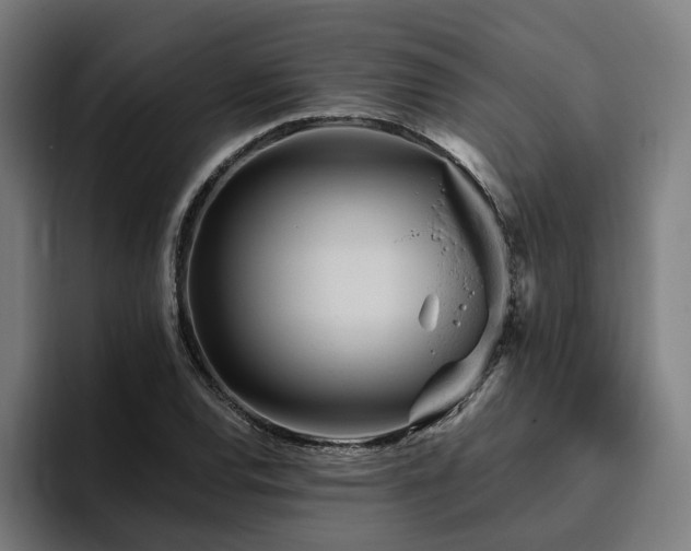 X0000094771120200711161350