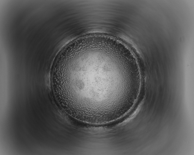 X0000094771121200711161350