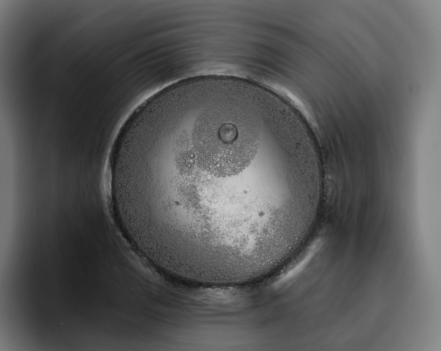 X0000094771125200711161350