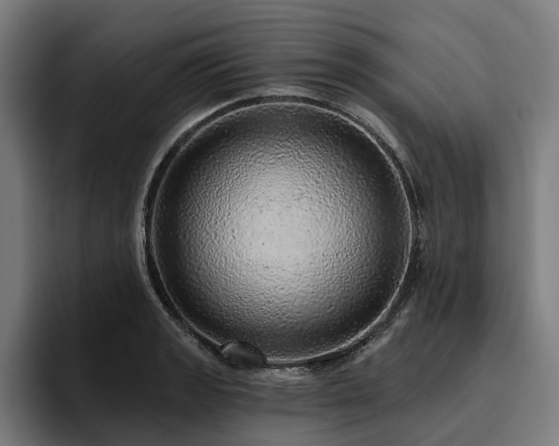 X0000094771133200711161350