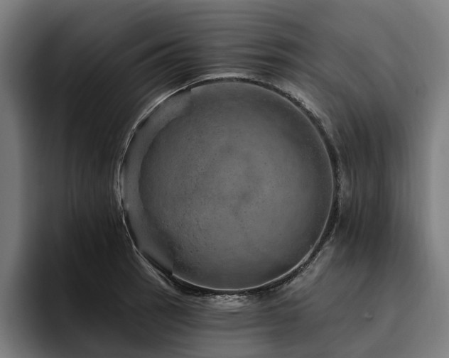 X0000094771137200711161350