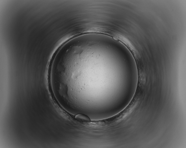 X0000094771138200711161350