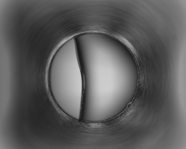 X0000094771144200711161350