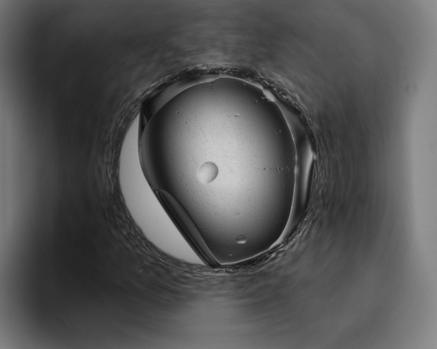 X0000094771157200711161350