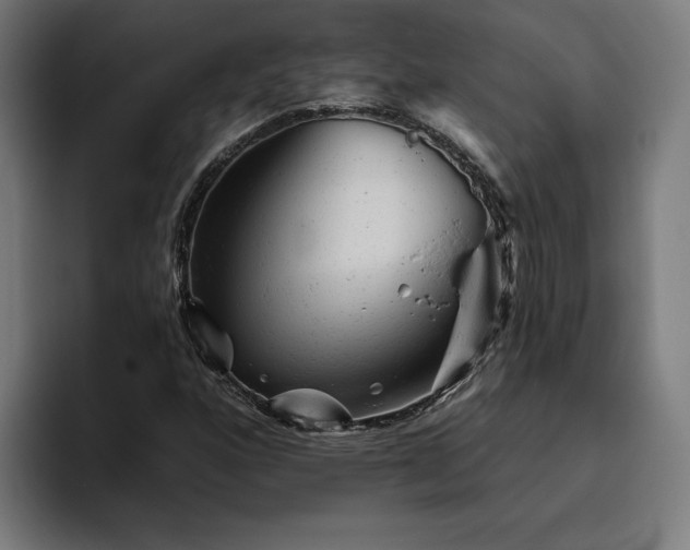 X0000094771160200711161350