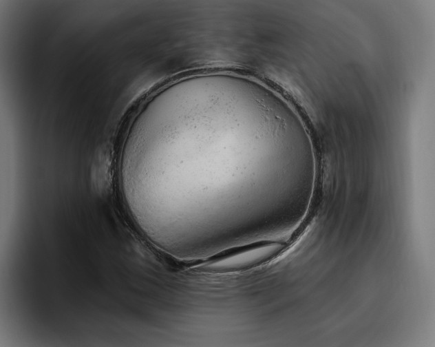 X0000094771163200711161350