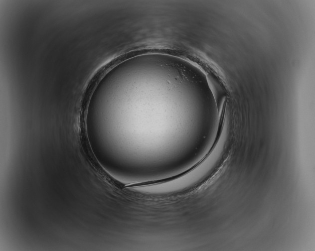 X0000094771166200711161350