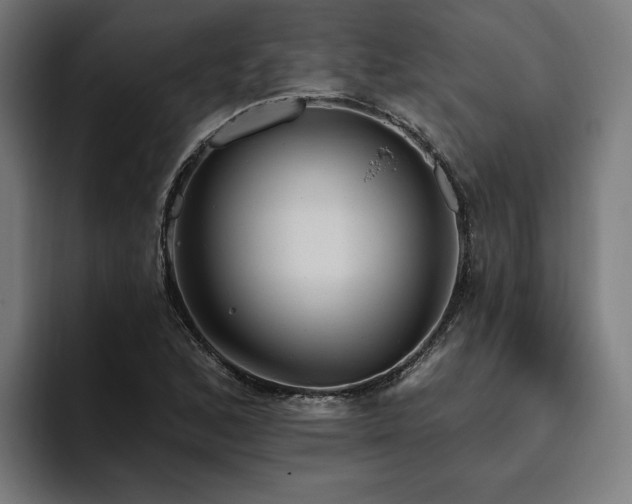 X0000094771168200711161350