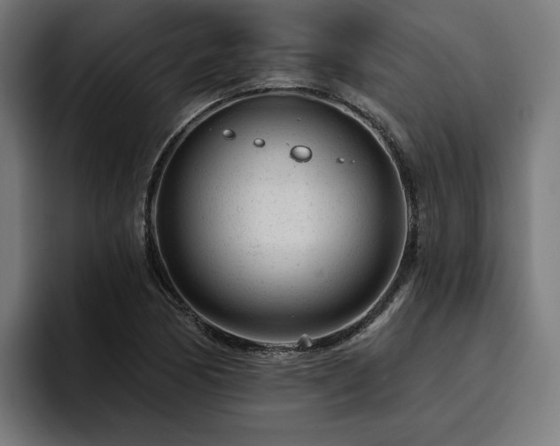 X0000094771170200711161350