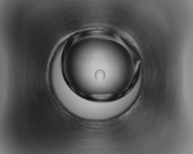 X0000094771172200711161350