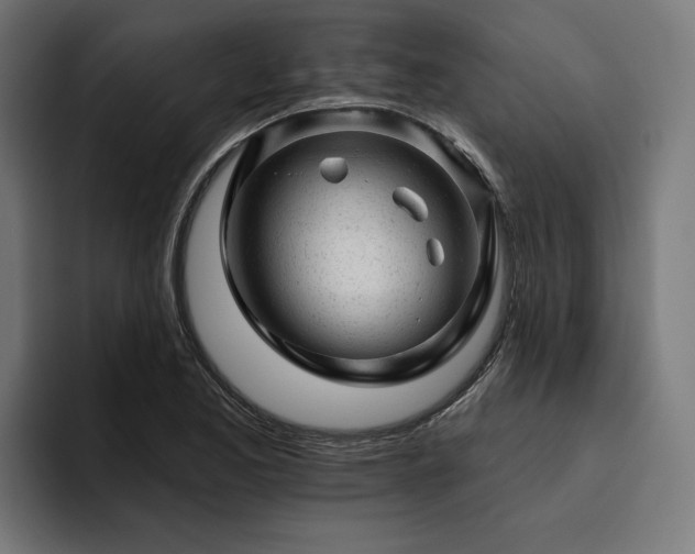 X0000094771173200711161350