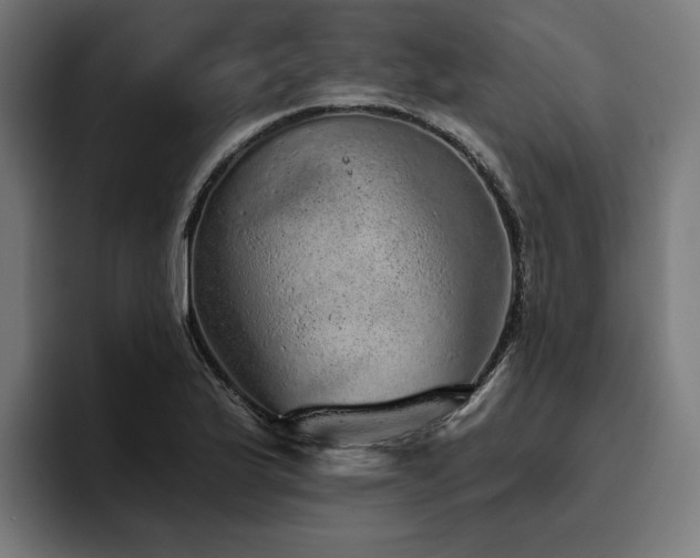 X0000094771175200711161350