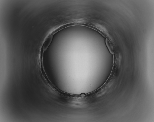 X0000094771176200711161350