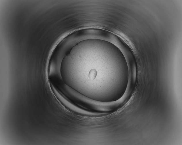 X0000094771188200711161349