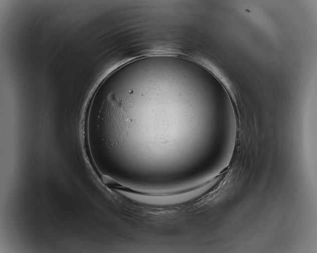 X0000094771195200711161349