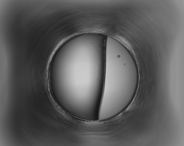 X0000094771200200711161349