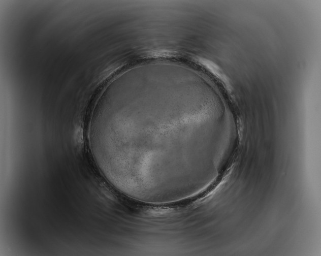 X0000094771209200711161349