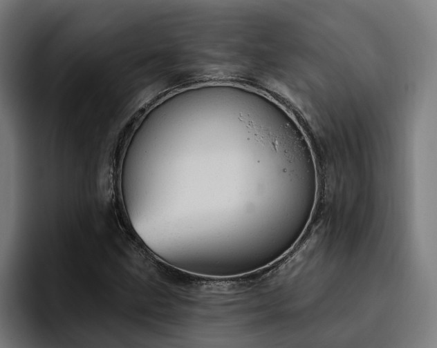 X0000094771211200711161349