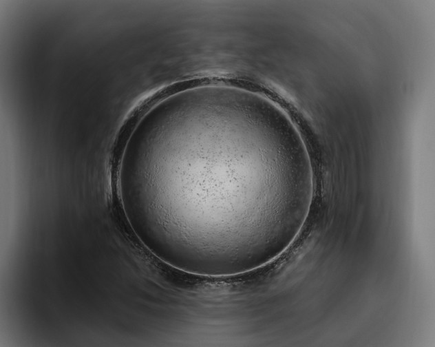 X0000094771214200711161349