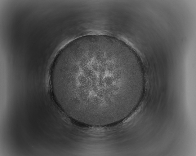 X0000094771215200711161349