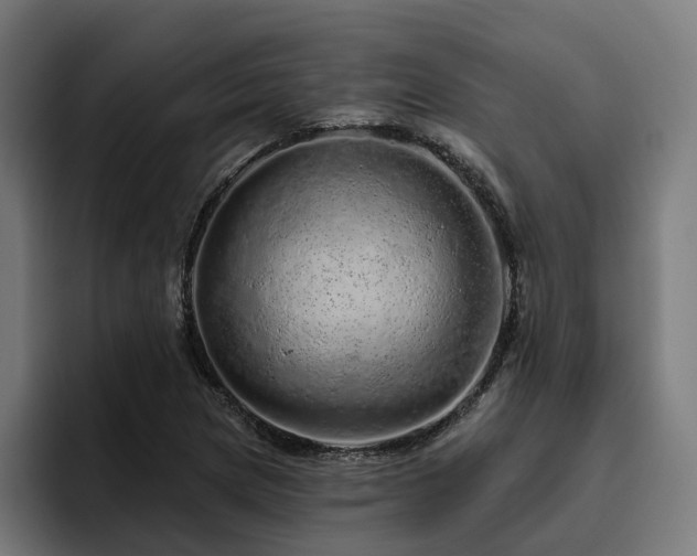 X0000094771217200711161349