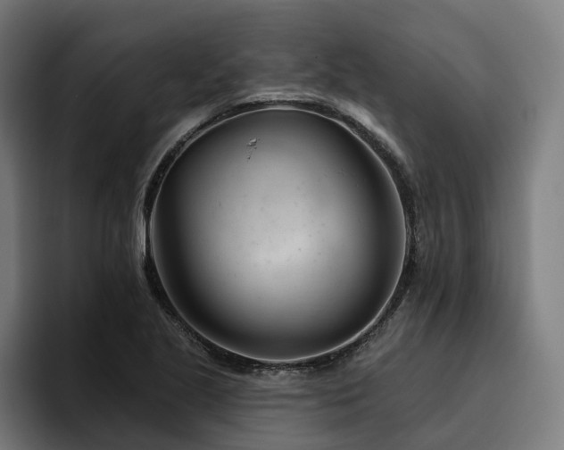 X0000094771221200711161349