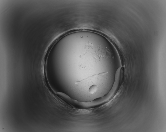 X0000094771224200711161349