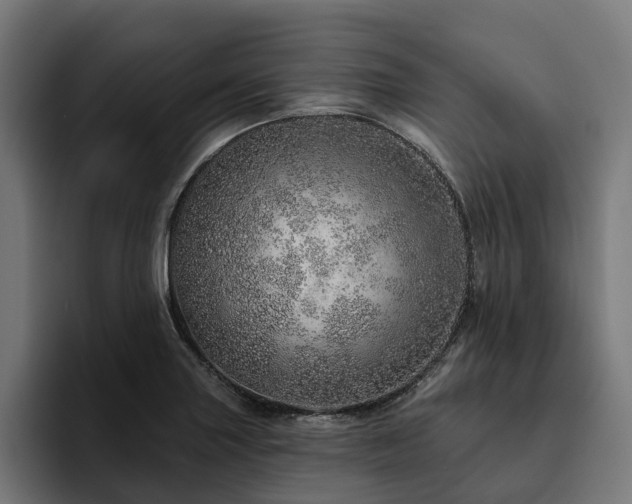 X0000094771227200711161349