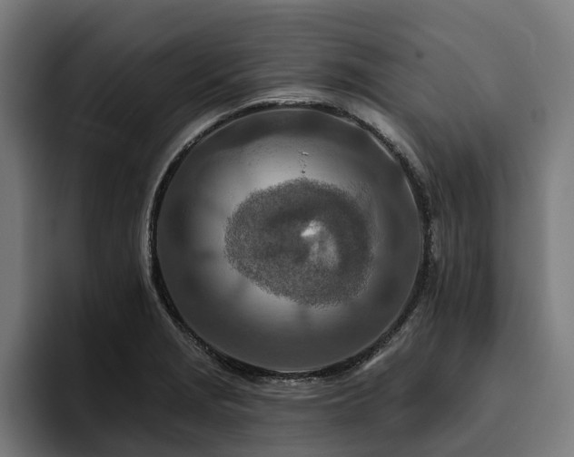 X0000094771229200711161349