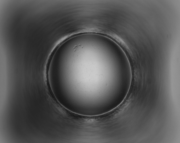 X0000094771230200711161349