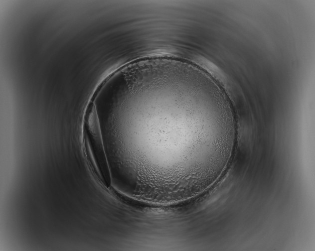 X0000094771234200711161349