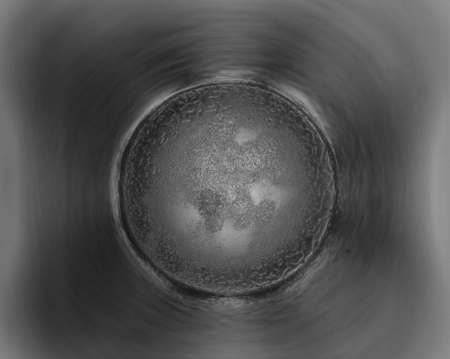 X0000094771235200711161349