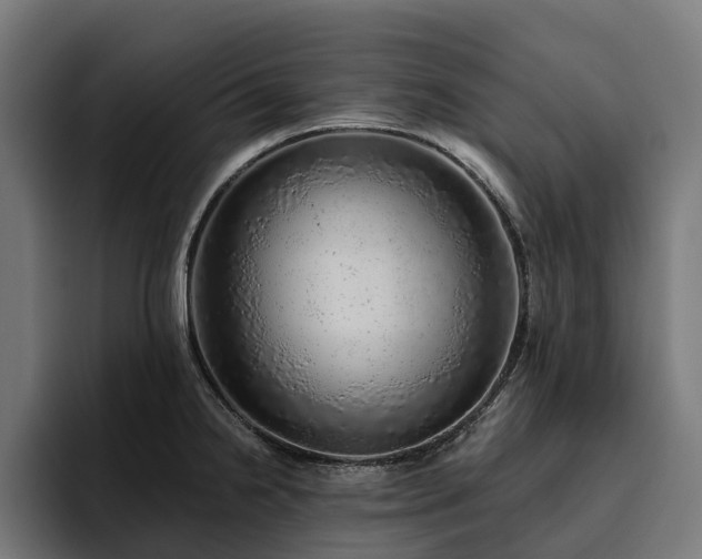 X0000094771238200711161349