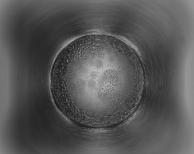 X0000094771239200711161349