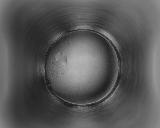 X0000094771241200711161349