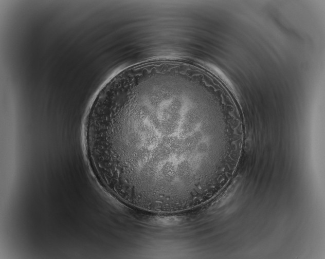 X0000094771243200711161349