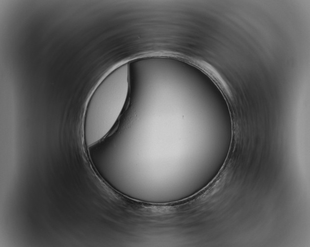 X0000094771244200711161349