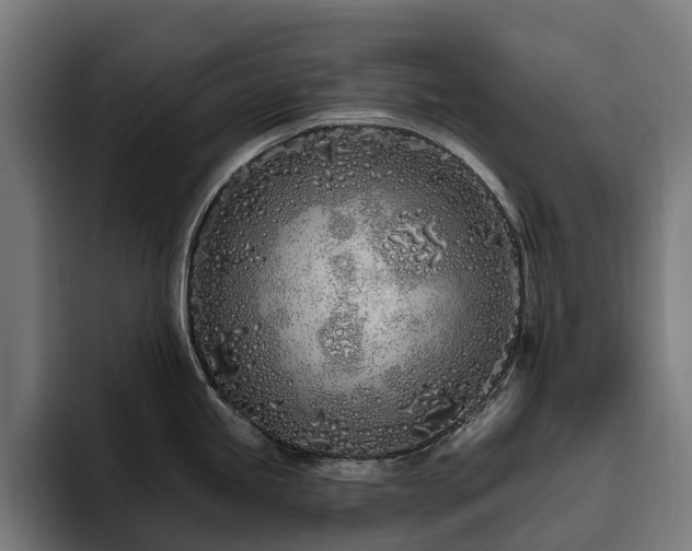 X0000094771245200711161349