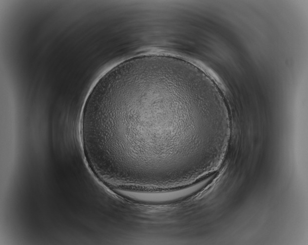 X0000094771247200711161349