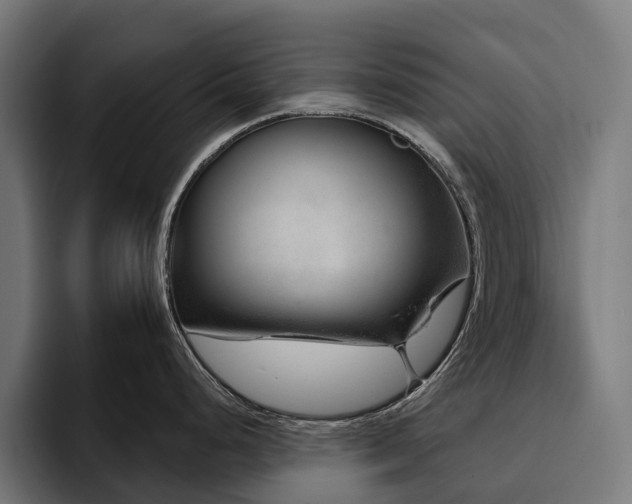 X0000094771248200711161349