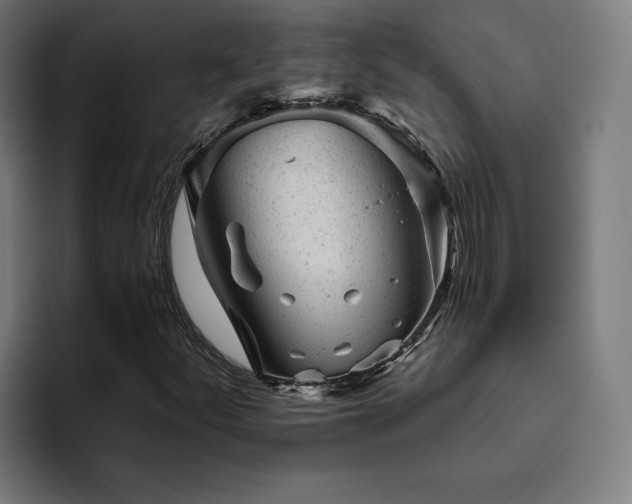 X0000094771252200711161349