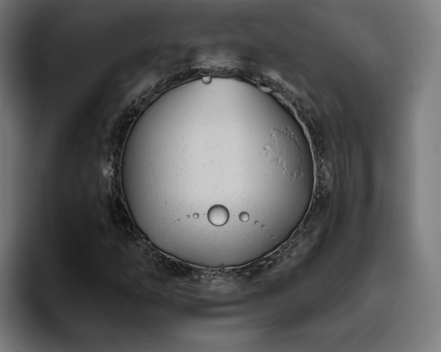 X0000094771254200711161349