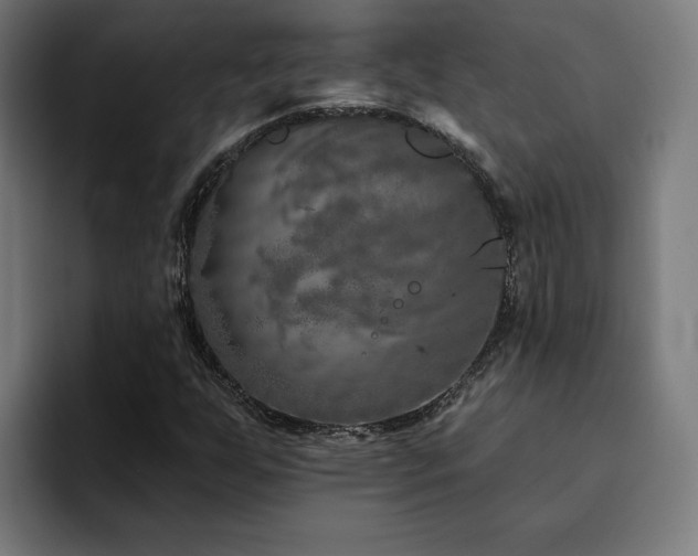 X0000094771255200711161349