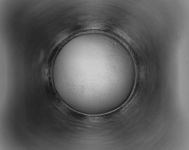 X0000094771258200711161349