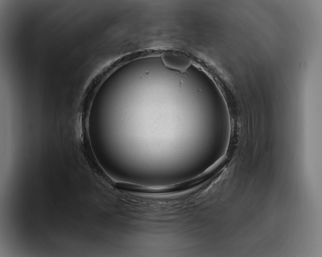 X0000094771262200711161348
