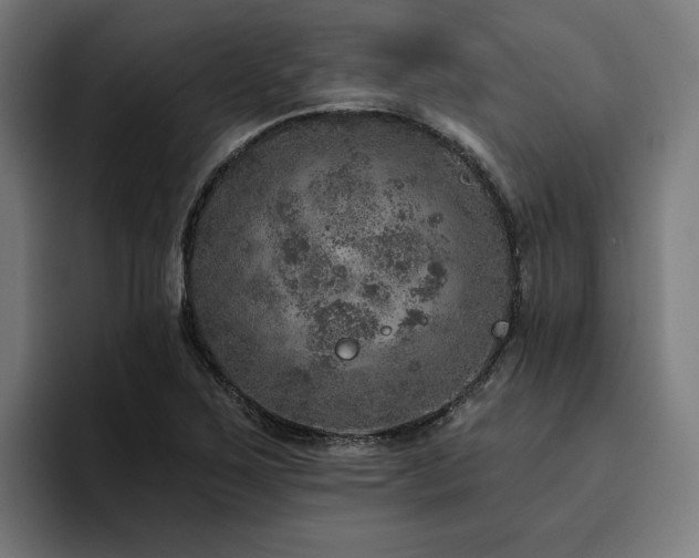 X0000094771267200711161348