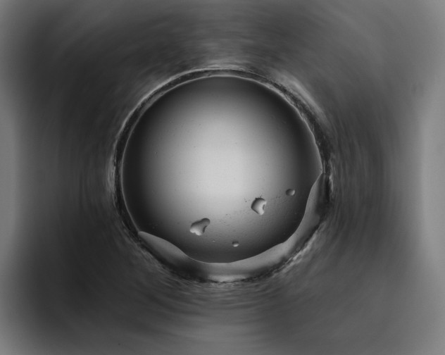 X0000094771268200711161348